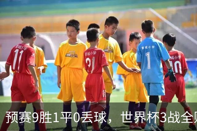 预赛9胜1平0丢球，世界杯3战全败丢12球，球迷：和国足差不多，名额是买的吗？