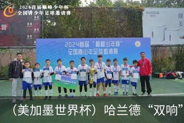 （美加墨世界杯）哈兰德“双响”建功 挪威淘汰巴西首次跻身八强